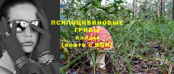 бутират Надым