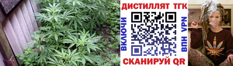 ТГК вейп  Купить где  Гусиноозёрск 