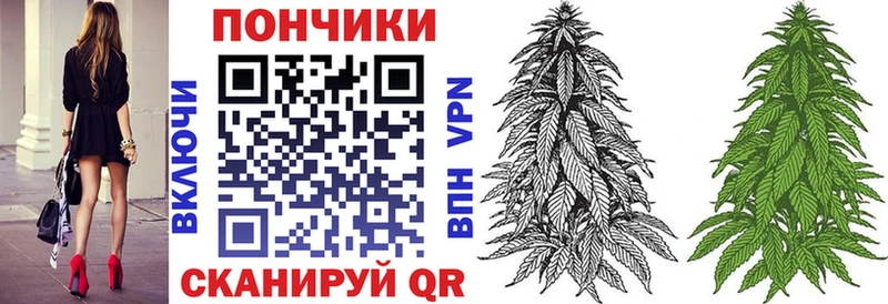 Шишки марихуана сатива Купить где Гусиноозёрск